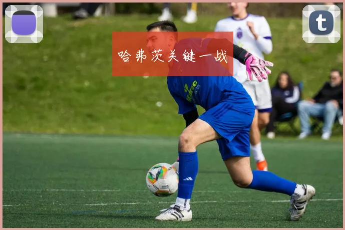 哈弗茨关键一战
