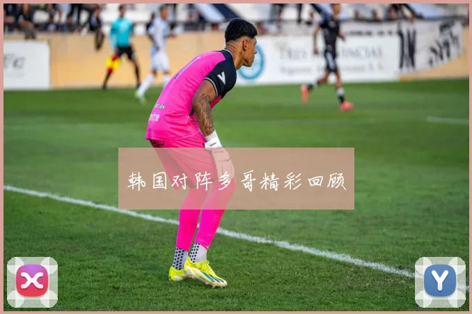 韩国对阵多哥精彩回顾