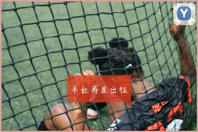 辛杜再度出征