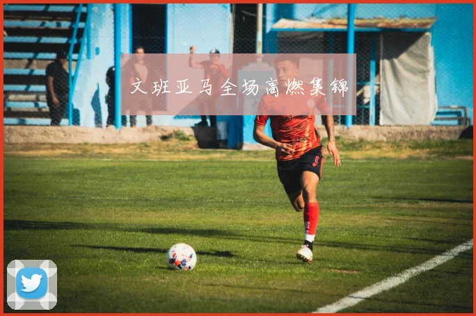 文班亚马全场高燃集锦