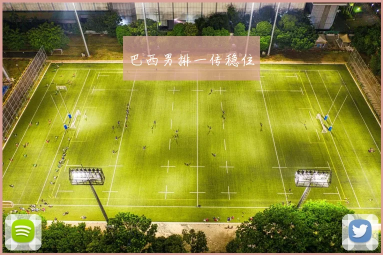 巴西男排一传稳住