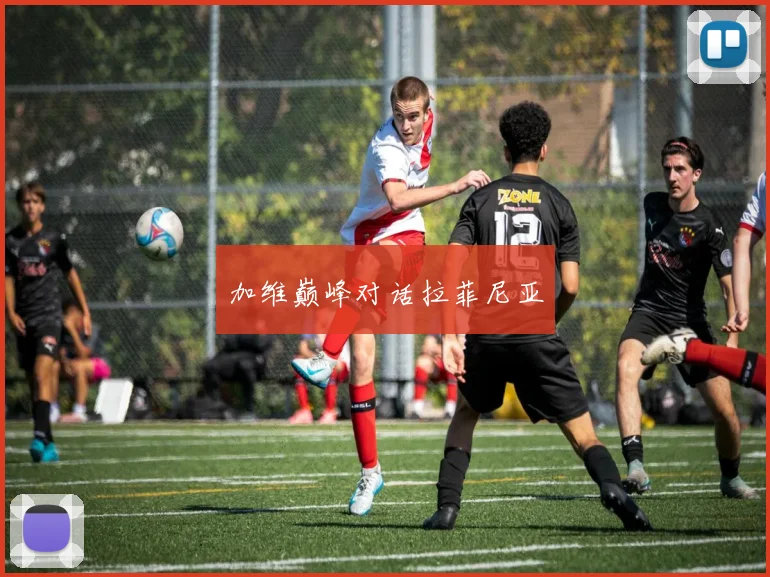 加维巅峰对话拉菲尼亚