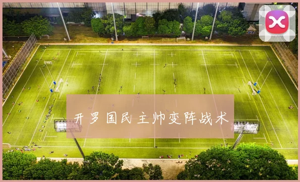 开罗国民主帅变阵战术