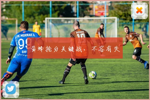 黄蜂抢分关键战，不容有失
