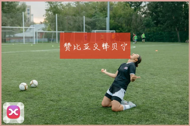 赞比亚交锋贝宁