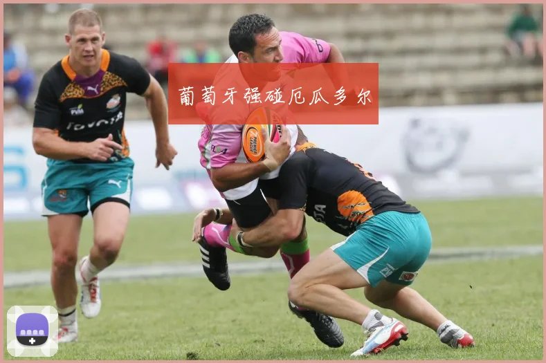葡萄牙强碰厄瓜多尔