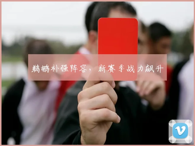 鹈鹕补强阵容，新赛季战力飙升
