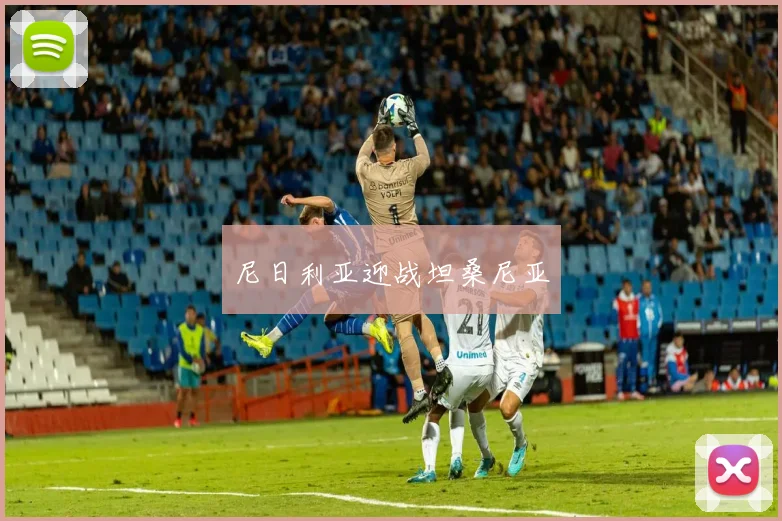 尼日利亚迎战坦桑尼亚