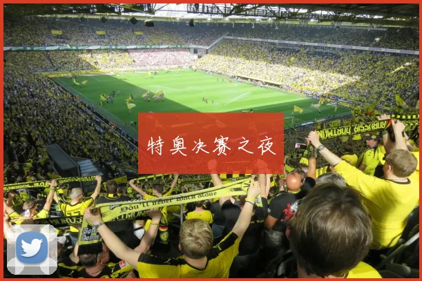 特奥决赛之夜