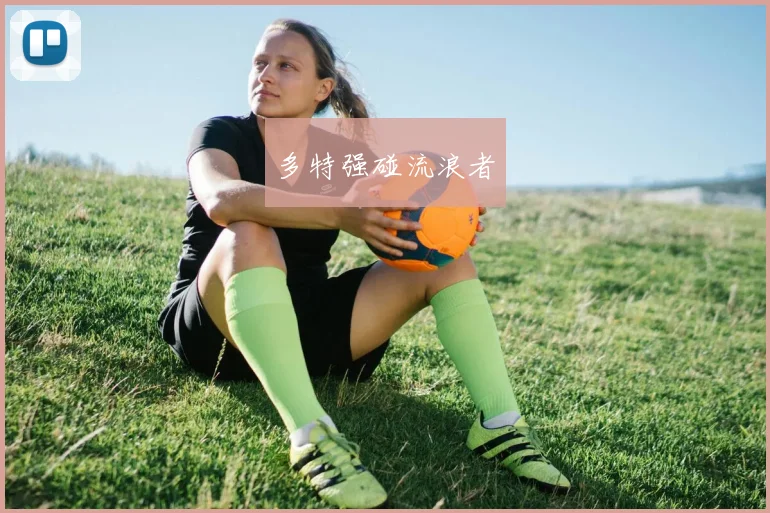 多特强碰流浪者