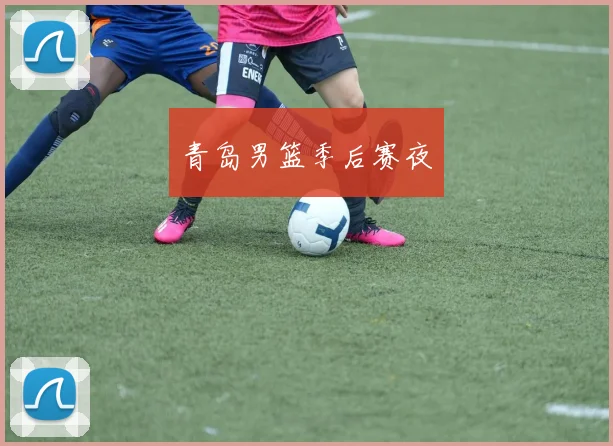 青岛男篮季后赛夜