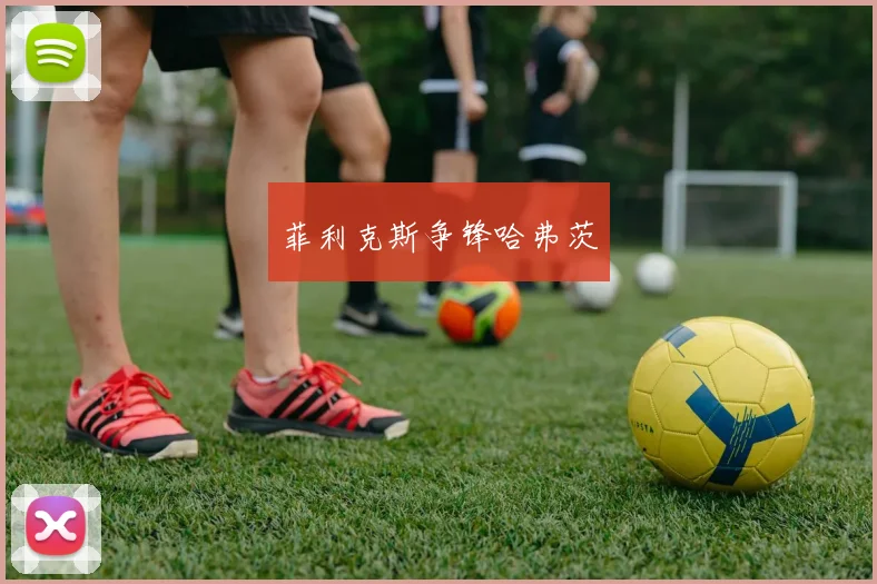 菲利克斯争锋哈弗茨