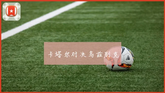 卡塔尔对决乌兹别克