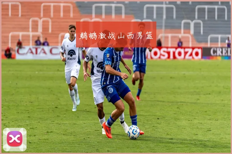 鹈鹕激战山西男篮
