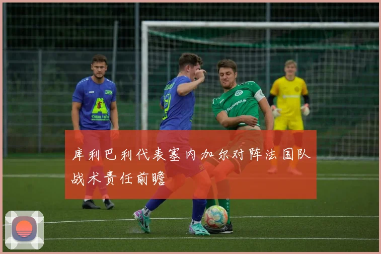 库利巴利代表塞内加尔对阵法国队战术责任前瞻