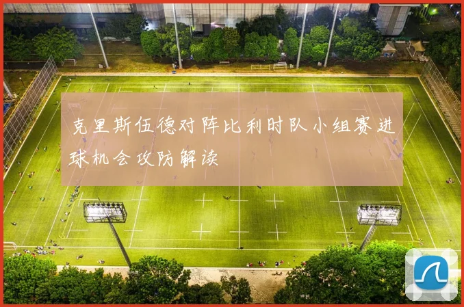 克里斯伍德对阵比利时队小组赛进球机会攻防解读