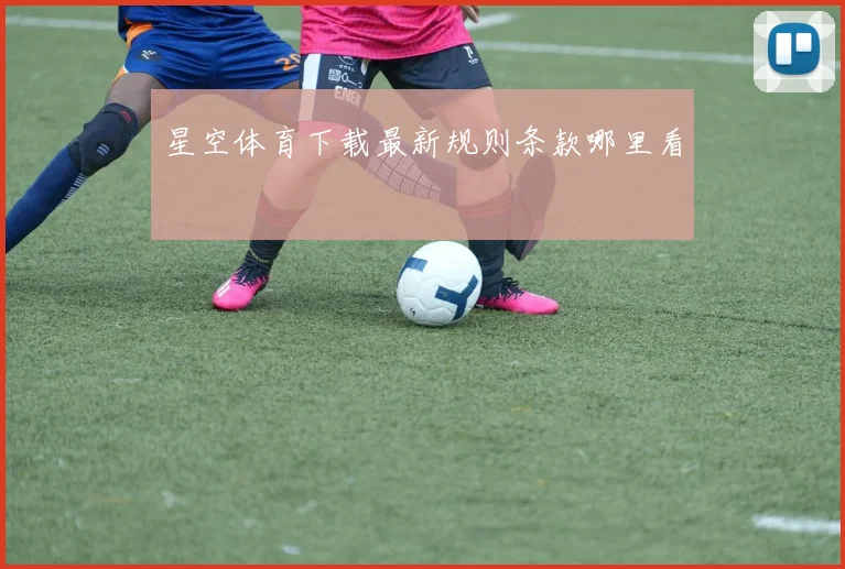 星空体育下载最新规则条款哪里看