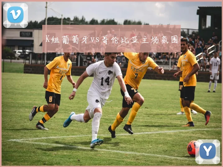 K组葡萄牙vs哥伦比亚主场氛围